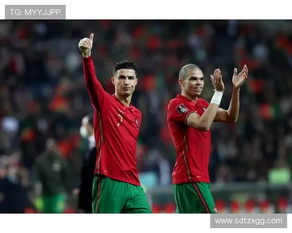 全球足球明星资料汇总与对比分析图表展示